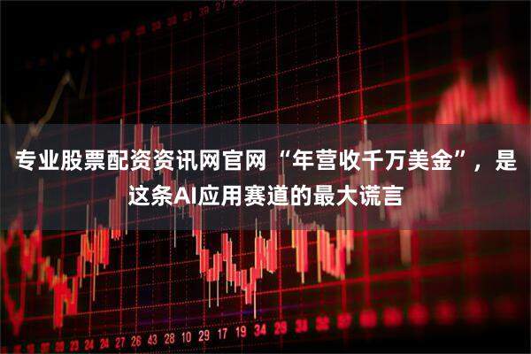 专业股票配资资讯网官网 “年营收千万美金”，是这条AI应用赛道的最大谎言